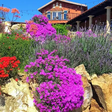 Vina Calabria-3